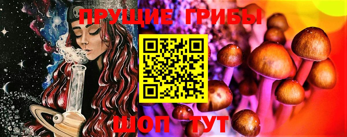 Псилоцибиновые грибы Psilocybine cubensis Людиново