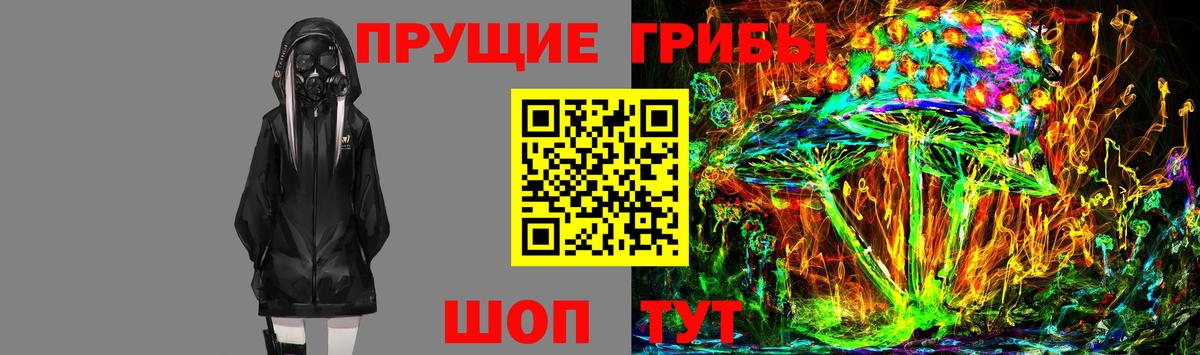 Людиново  закладка  Вход с VPN  Псилоцибиновые грибы прущие грибы 